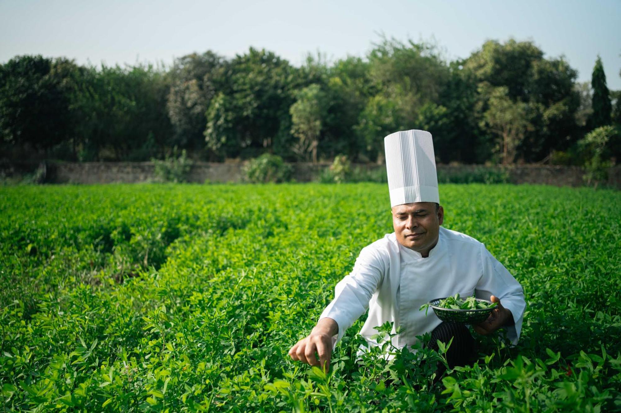 Abhyaran Resort & Spa Ranthambore Saváj Madhopur Kültér fotó