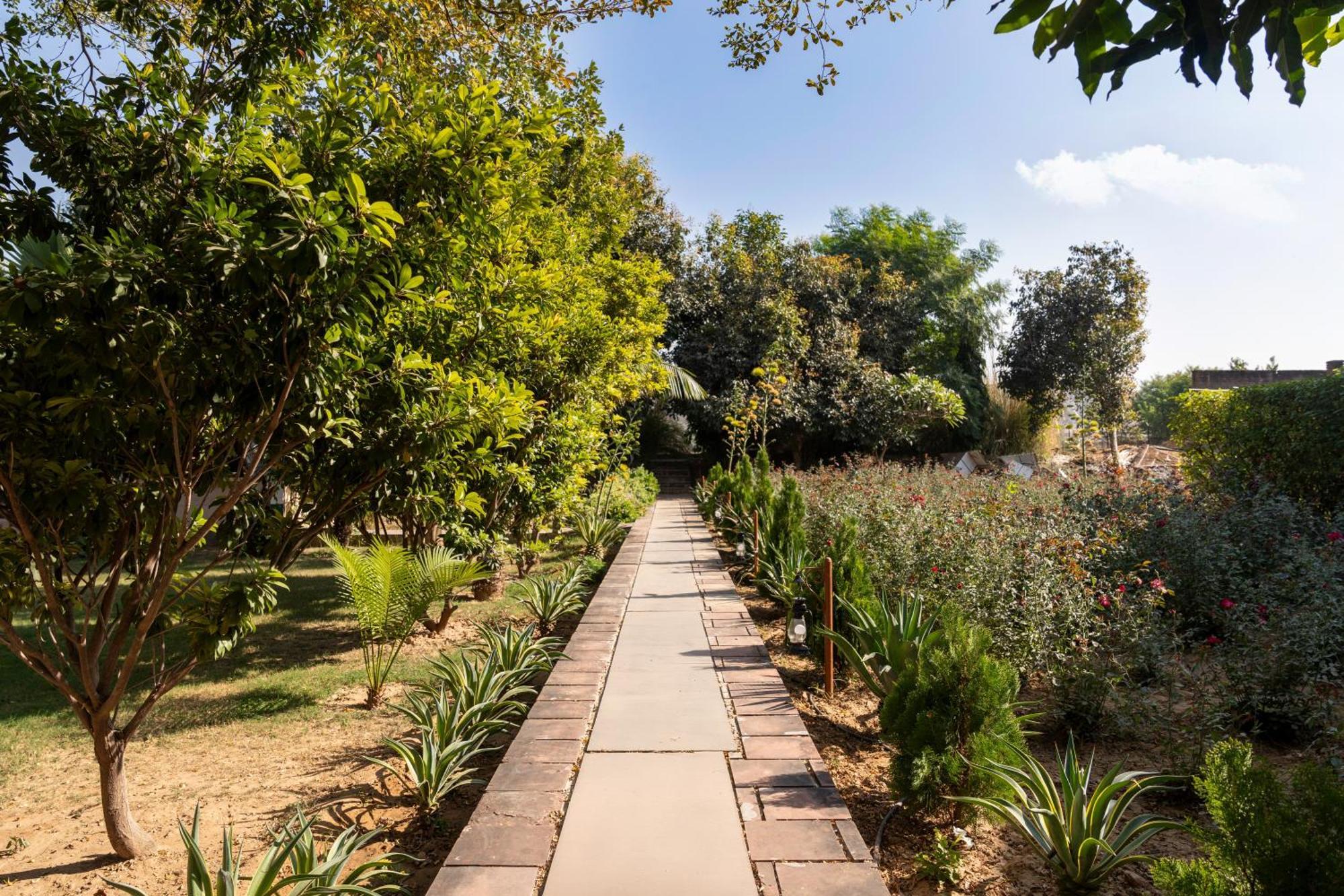 Abhyaran Resort & Spa Ranthambore Saváj Madhopur Kültér fotó